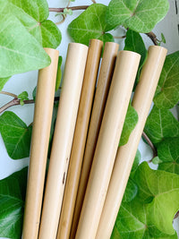 Kawayan Bamboo
