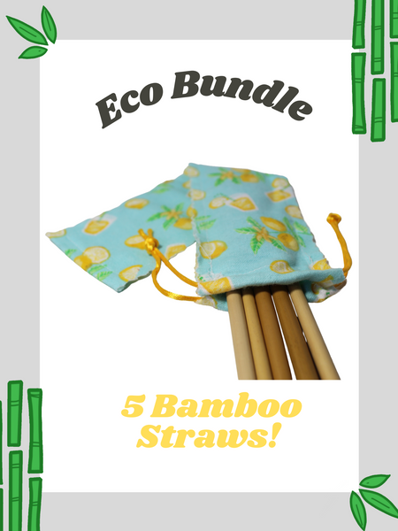 5 Bamboo Straws & Travel Bag